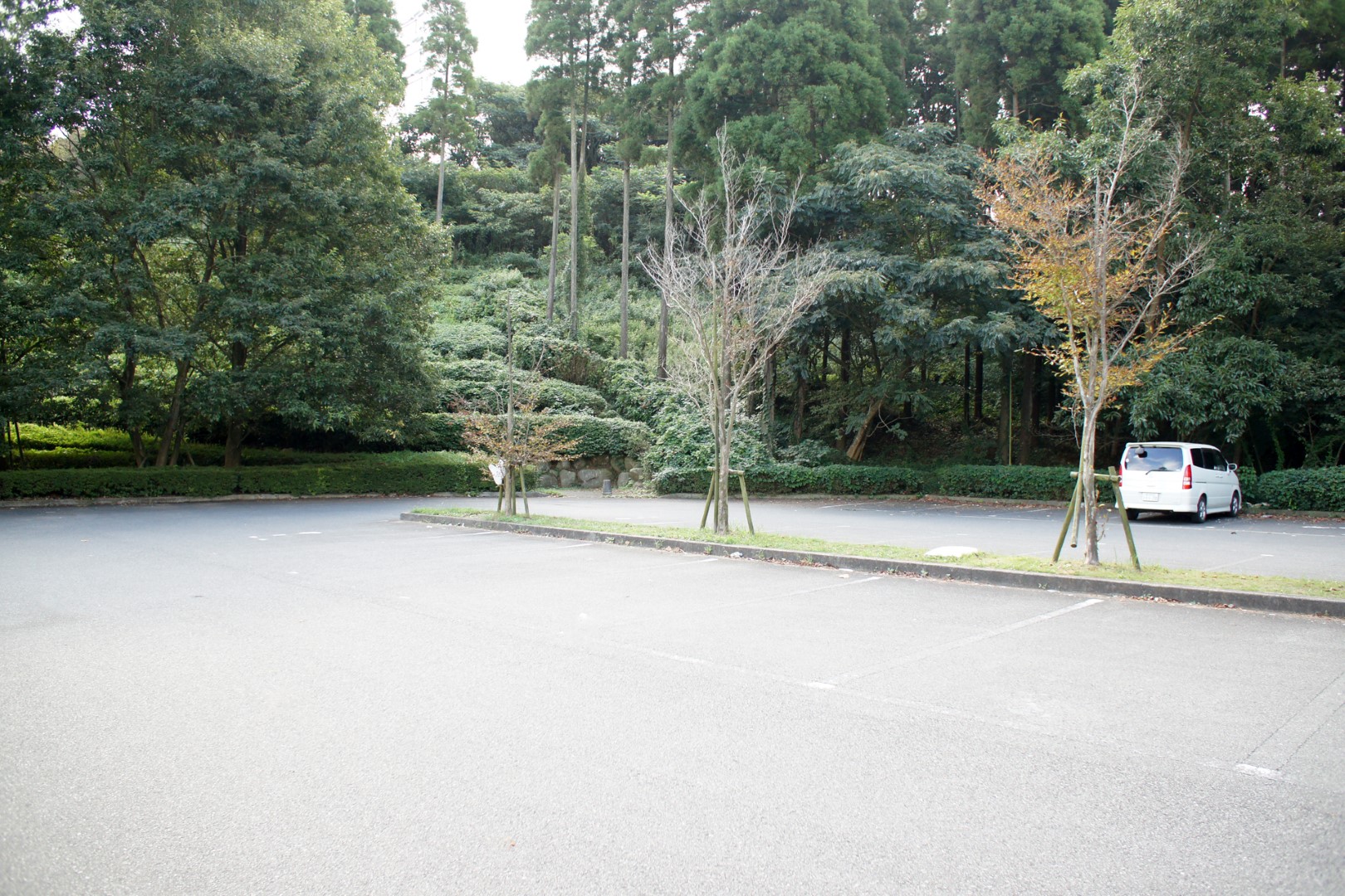かずさアカデミアパーク4号公園