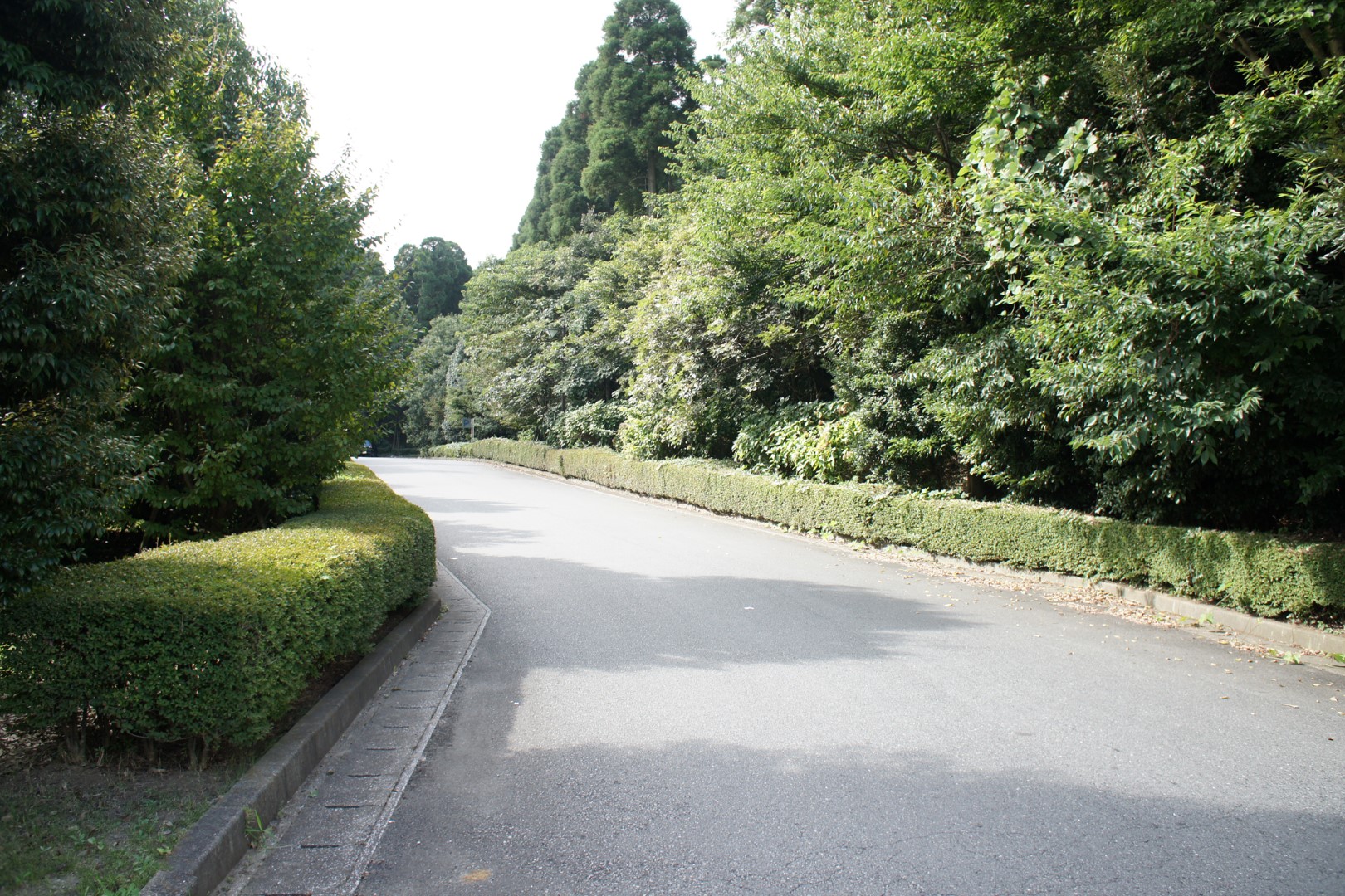 かずさアカデミアパーク4号公園