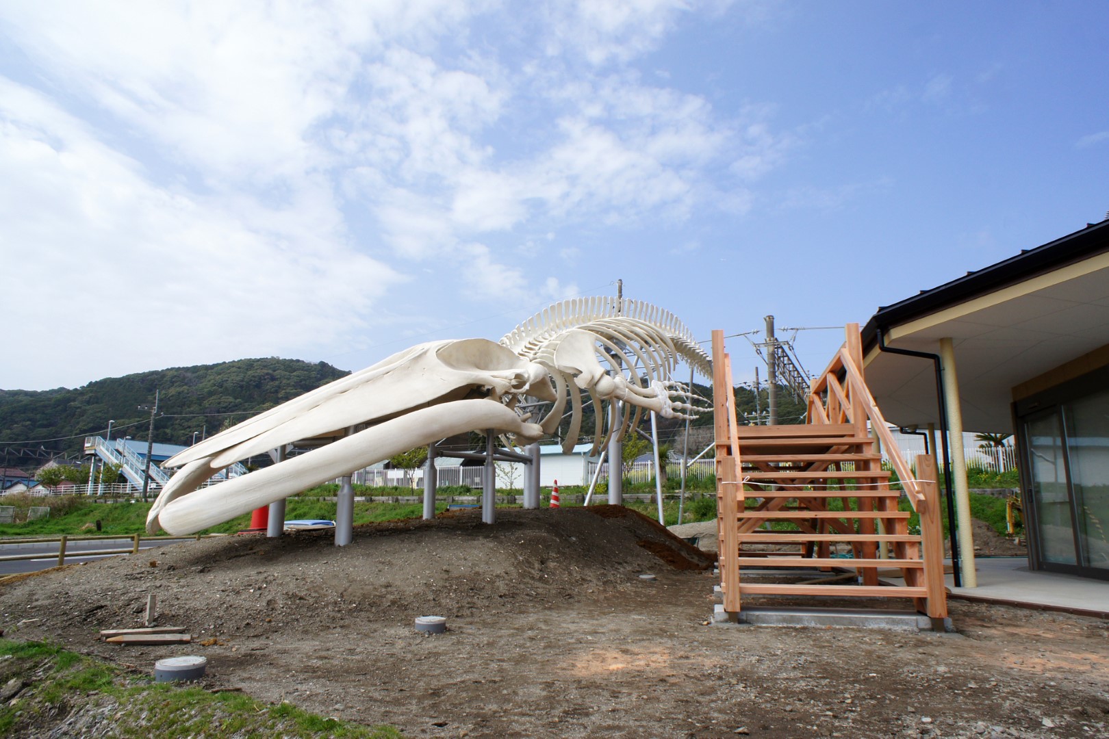 道の駅 和田浦 WA・O！