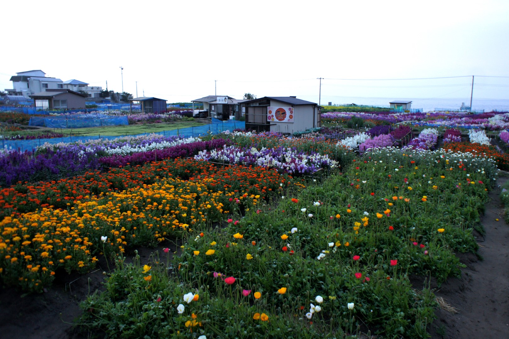 道の駅 白間津花のパーキング