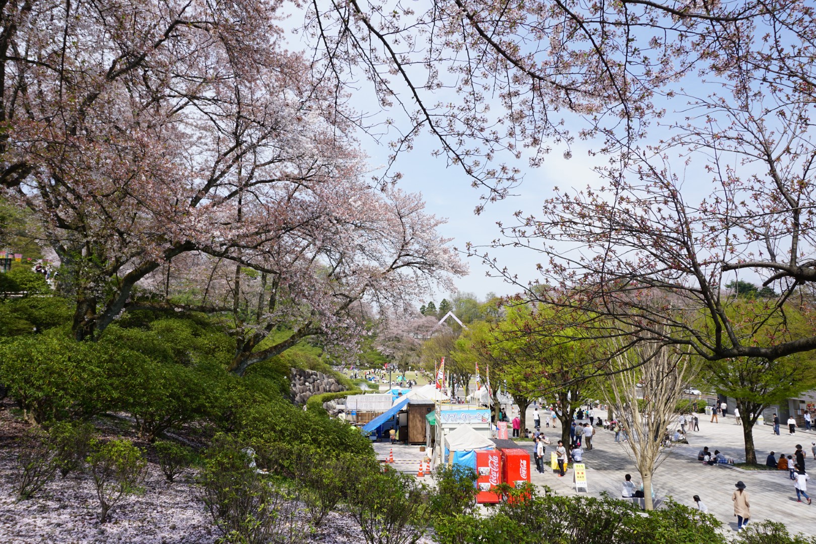 道の駅 西山公園