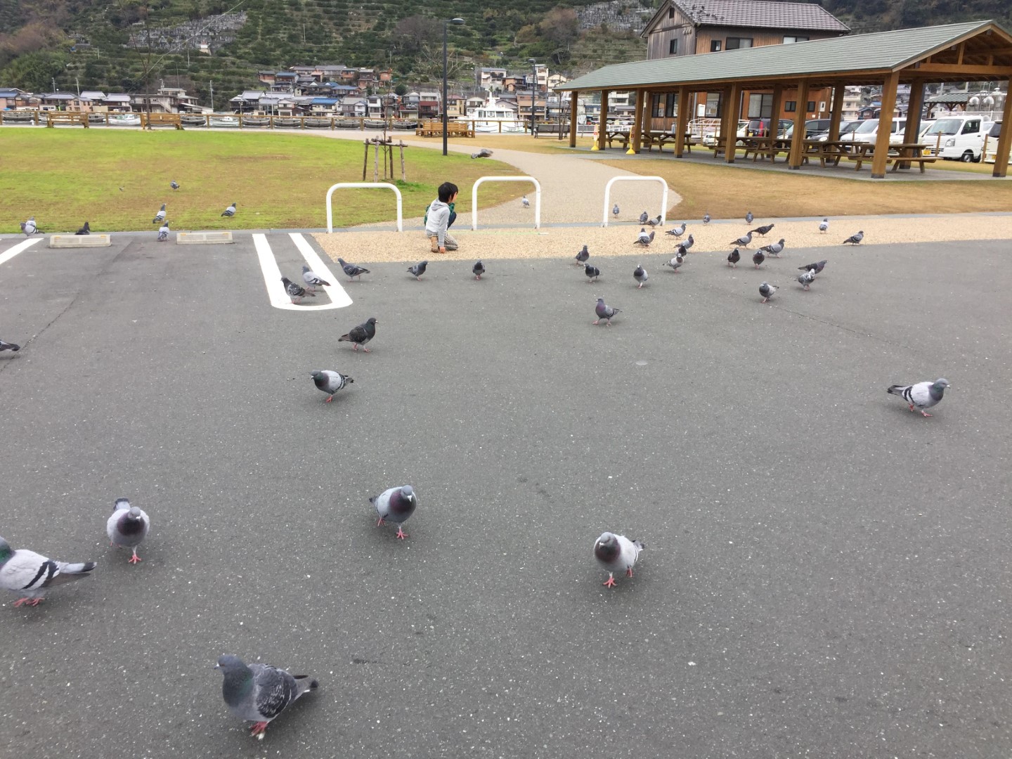 道の駅 八幡浜みなっと