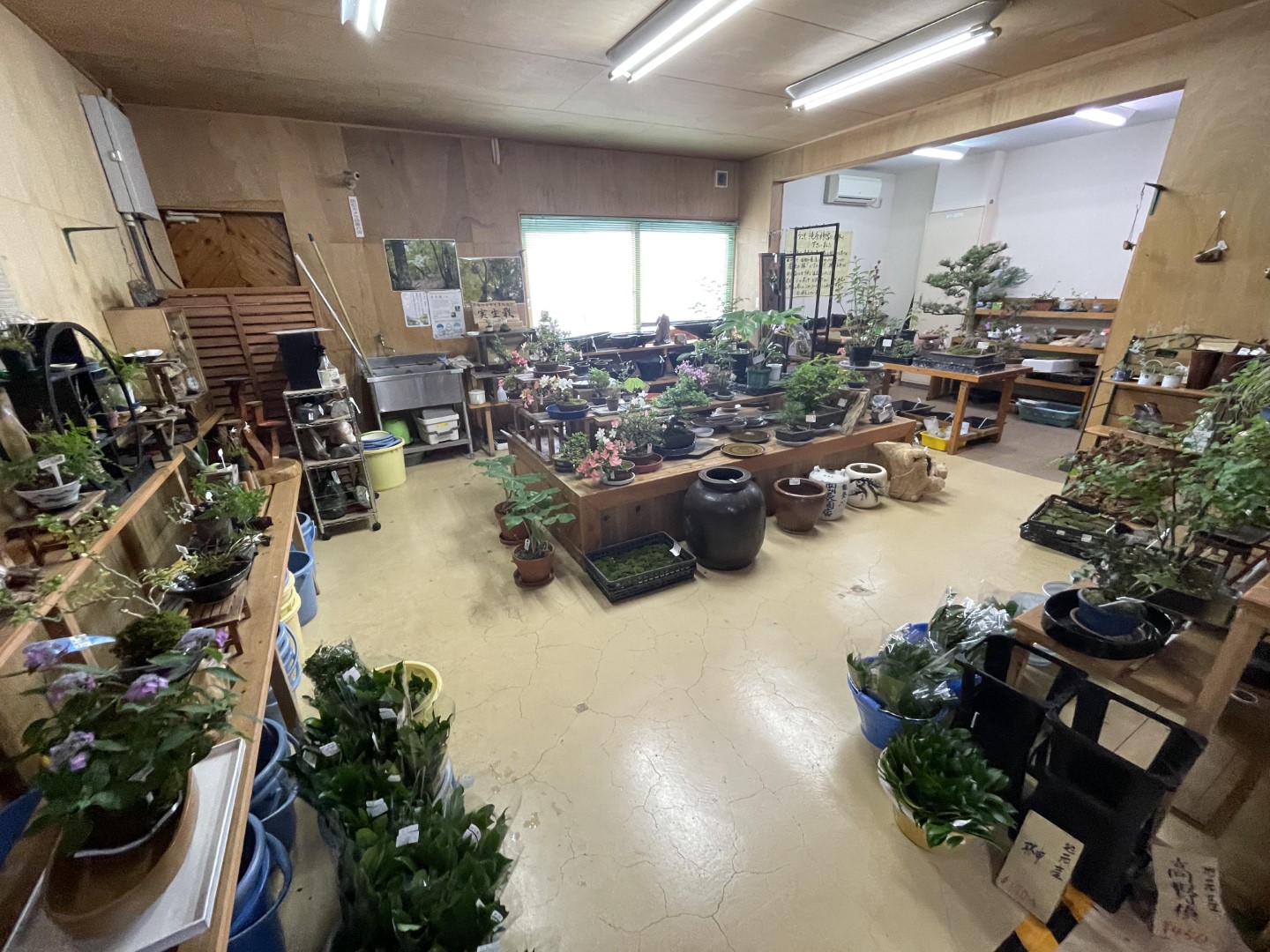 道の駅 奥伊勢木つつ木館