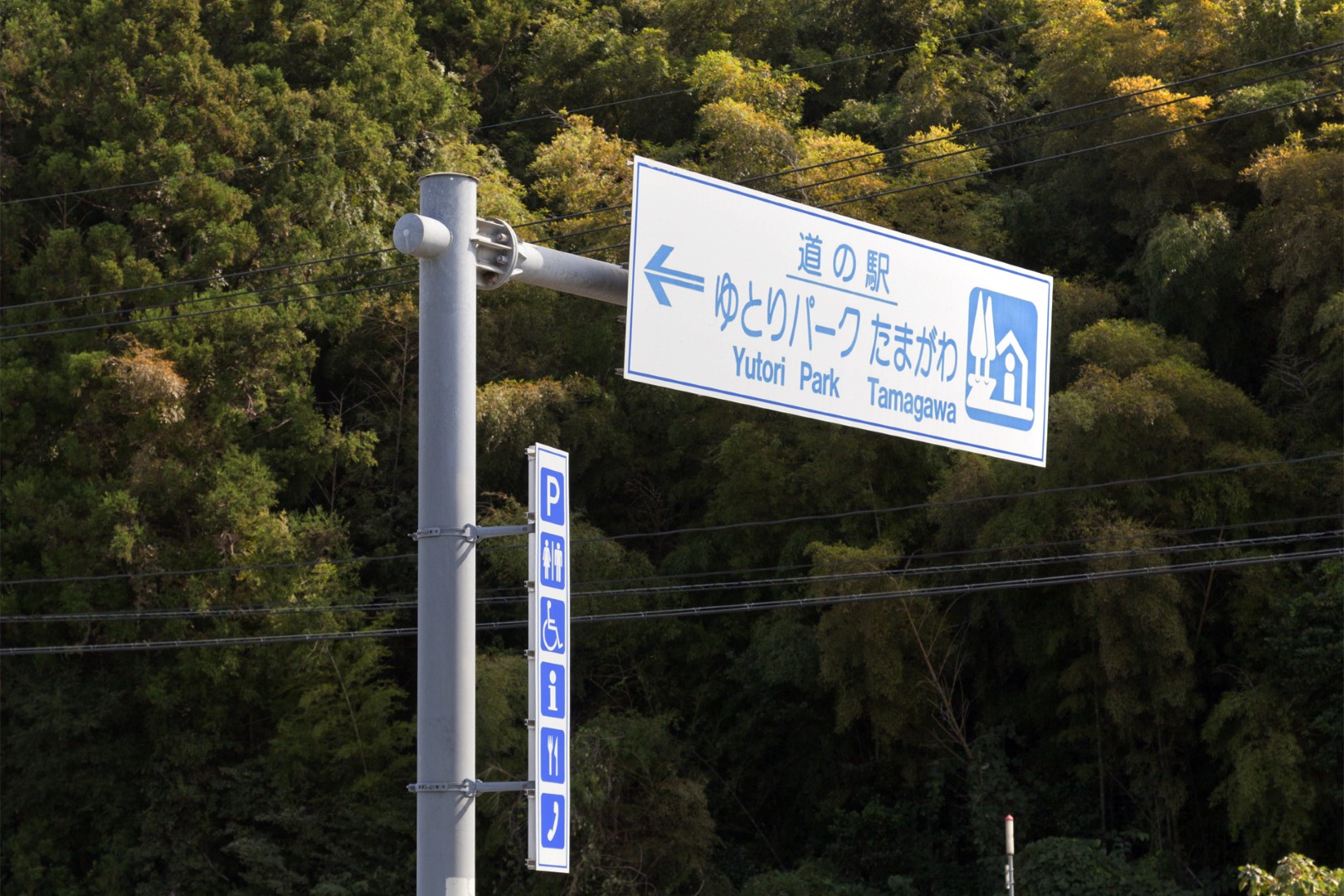 RVパークたまがわ