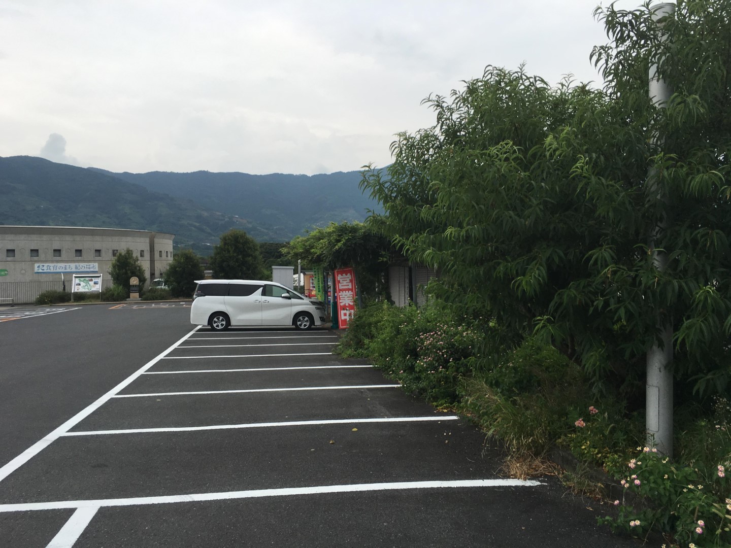 道の駅 青洲の里