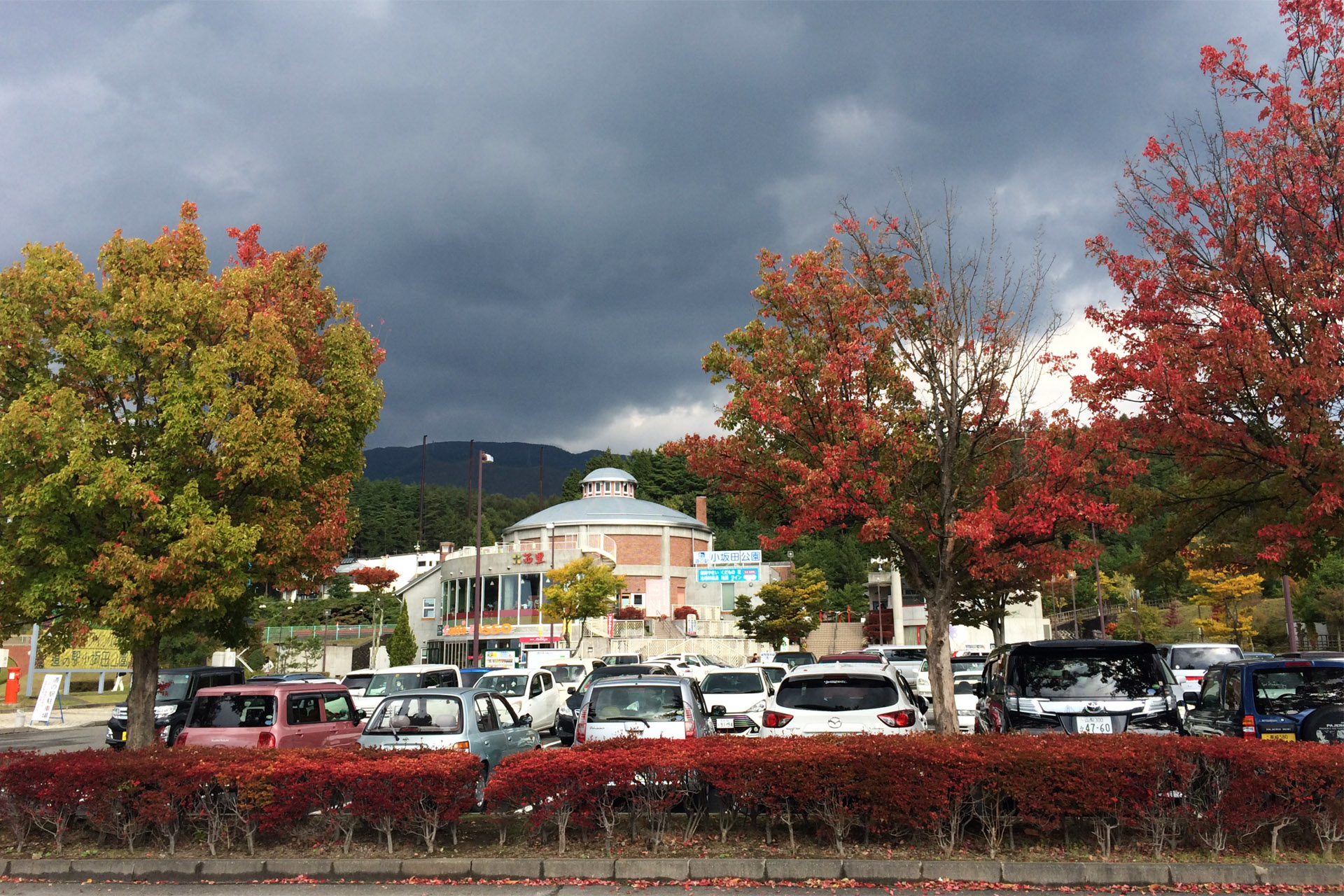 道の駅 小坂田公園