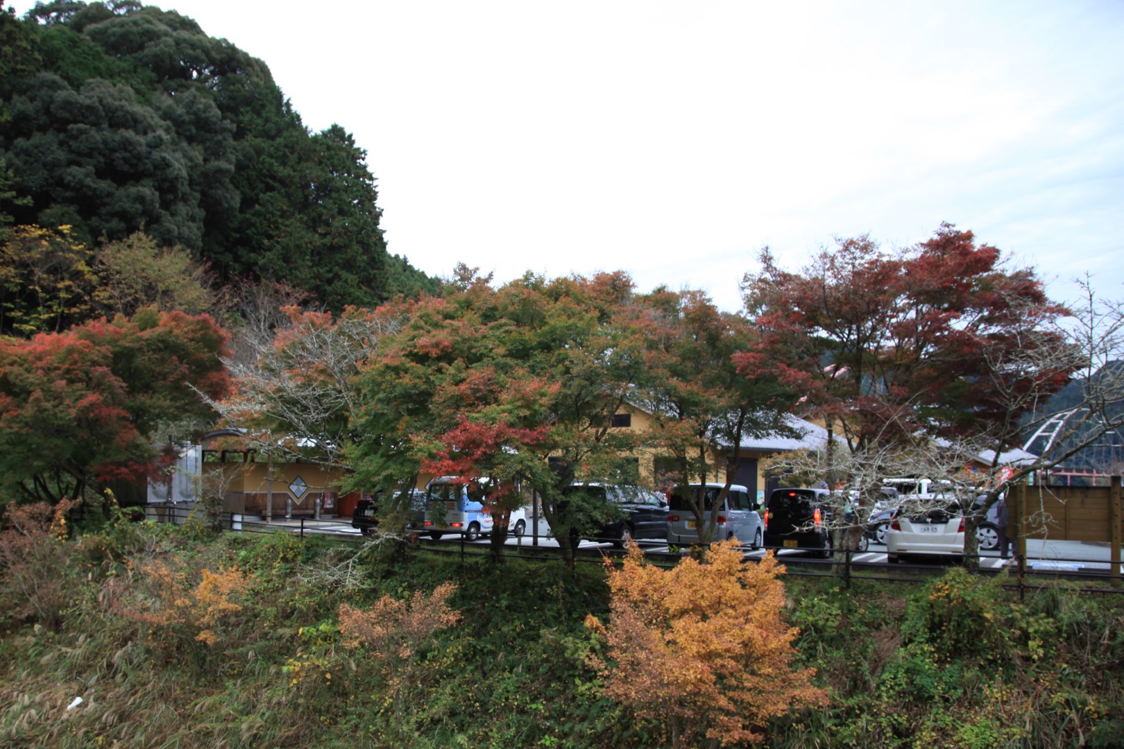 道の駅 天竜相津 花桃の里