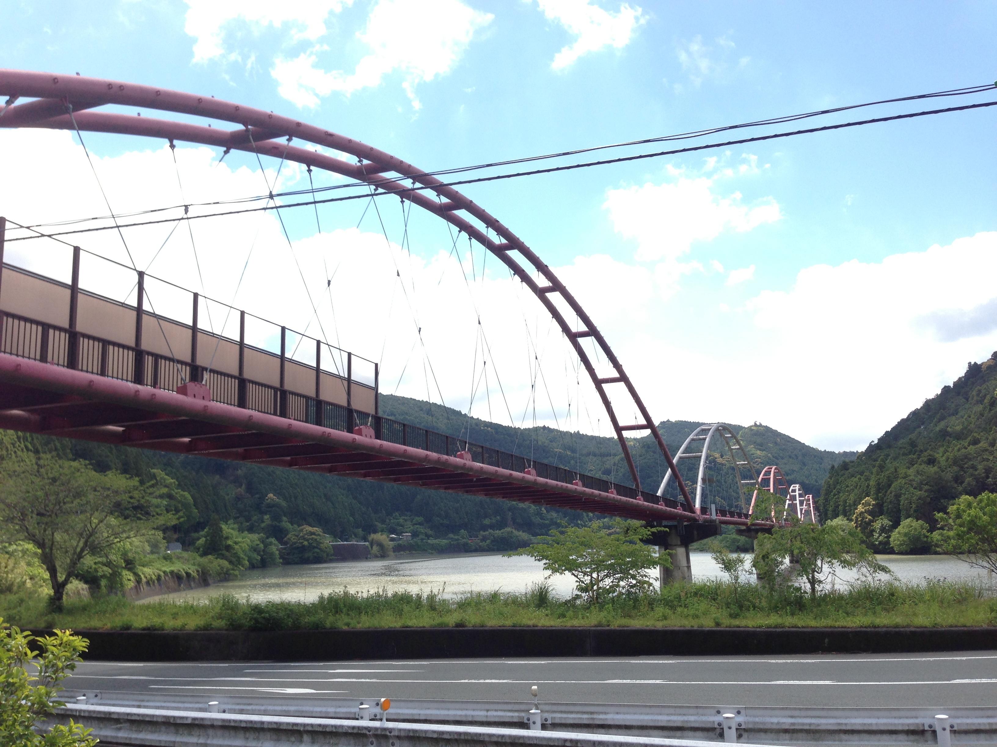 道の駅 天竜相津 花桃の里