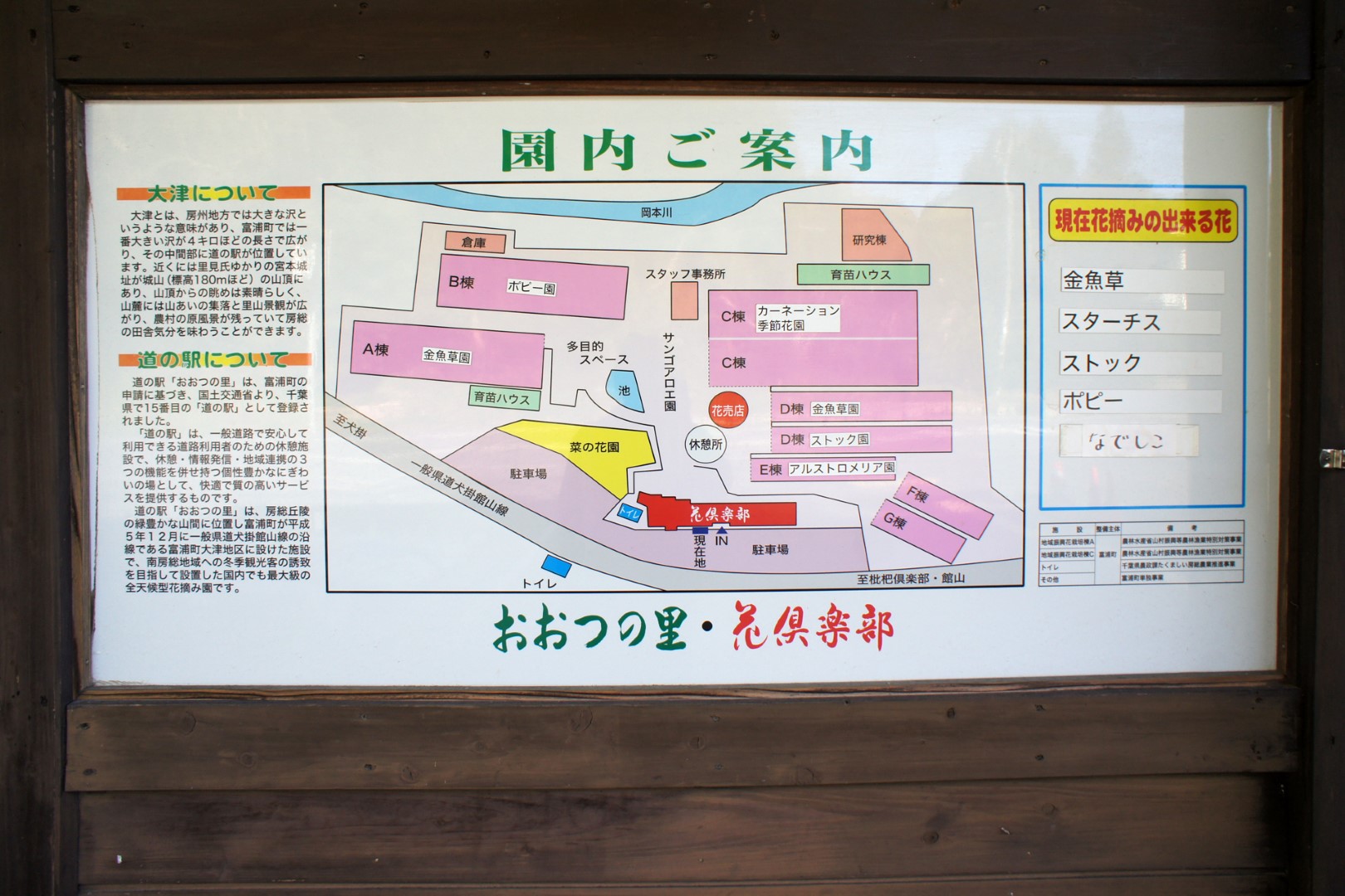道の駅 おおつの里