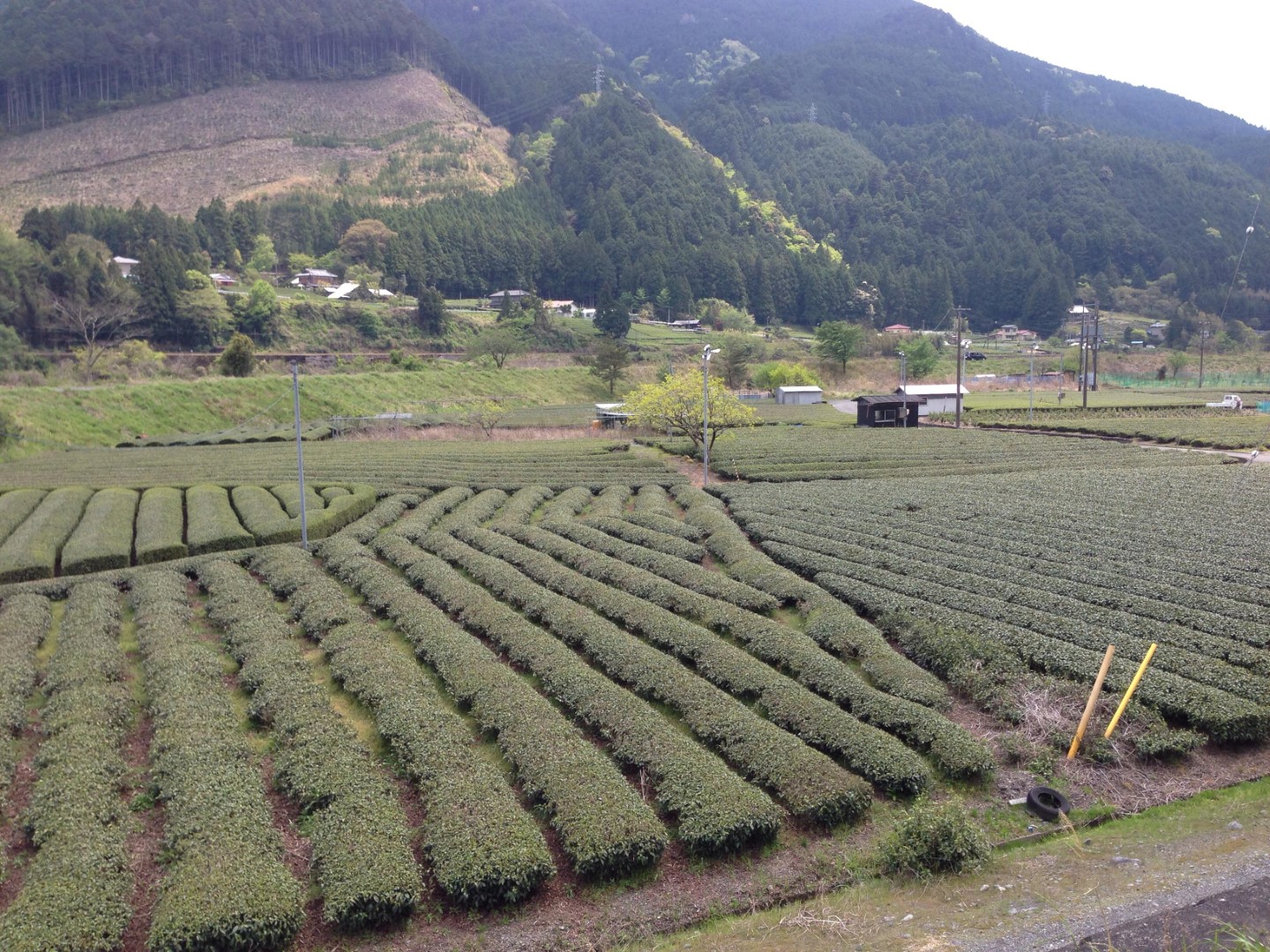 道の駅 フォーレなかかわね茶茗舘