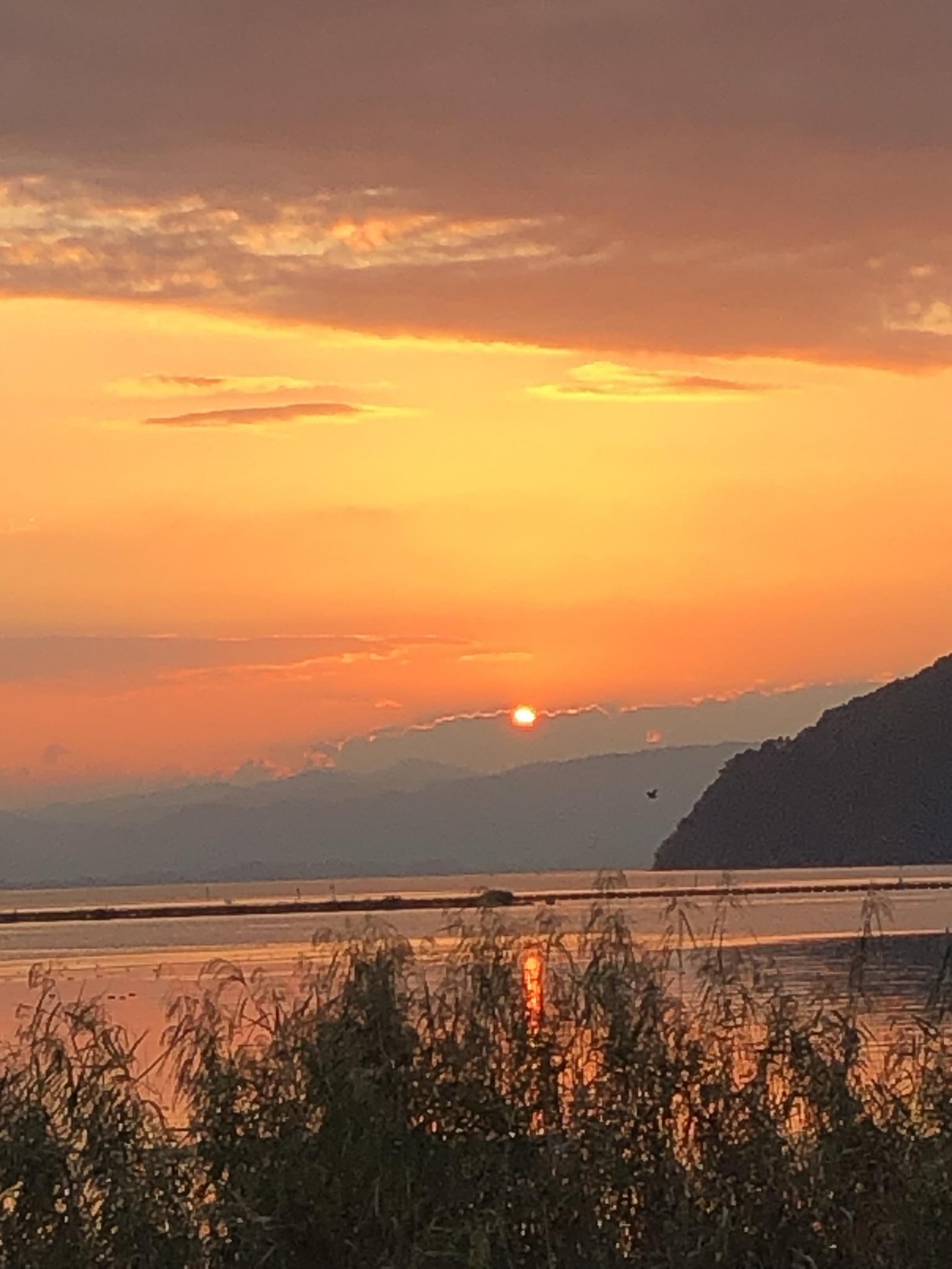 道の駅 湖北みずどりステーション