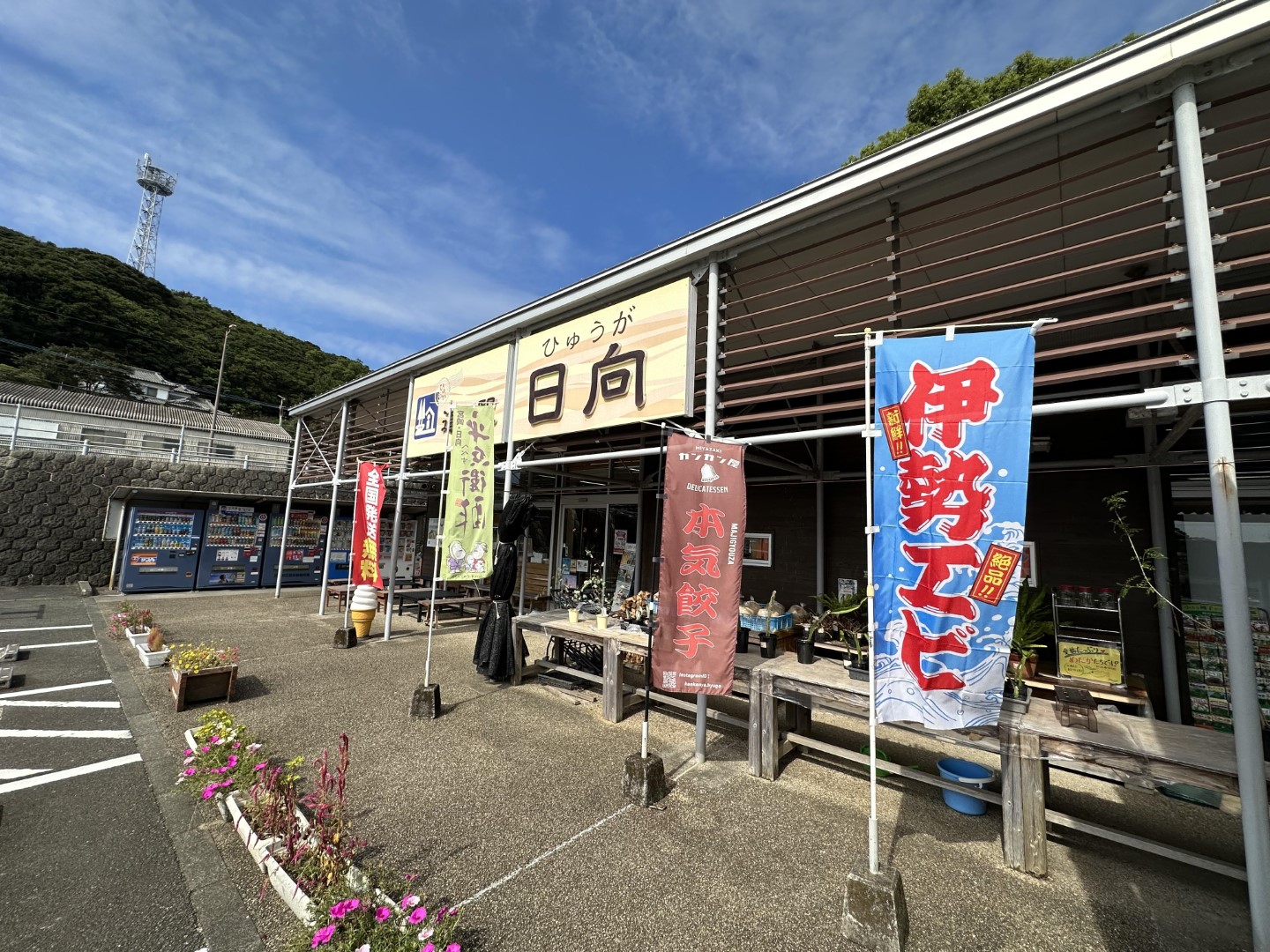 道の駅 日向
