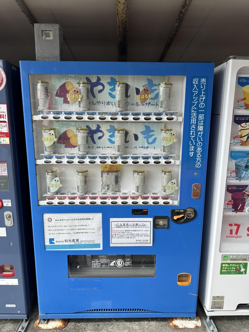 道の駅 日向