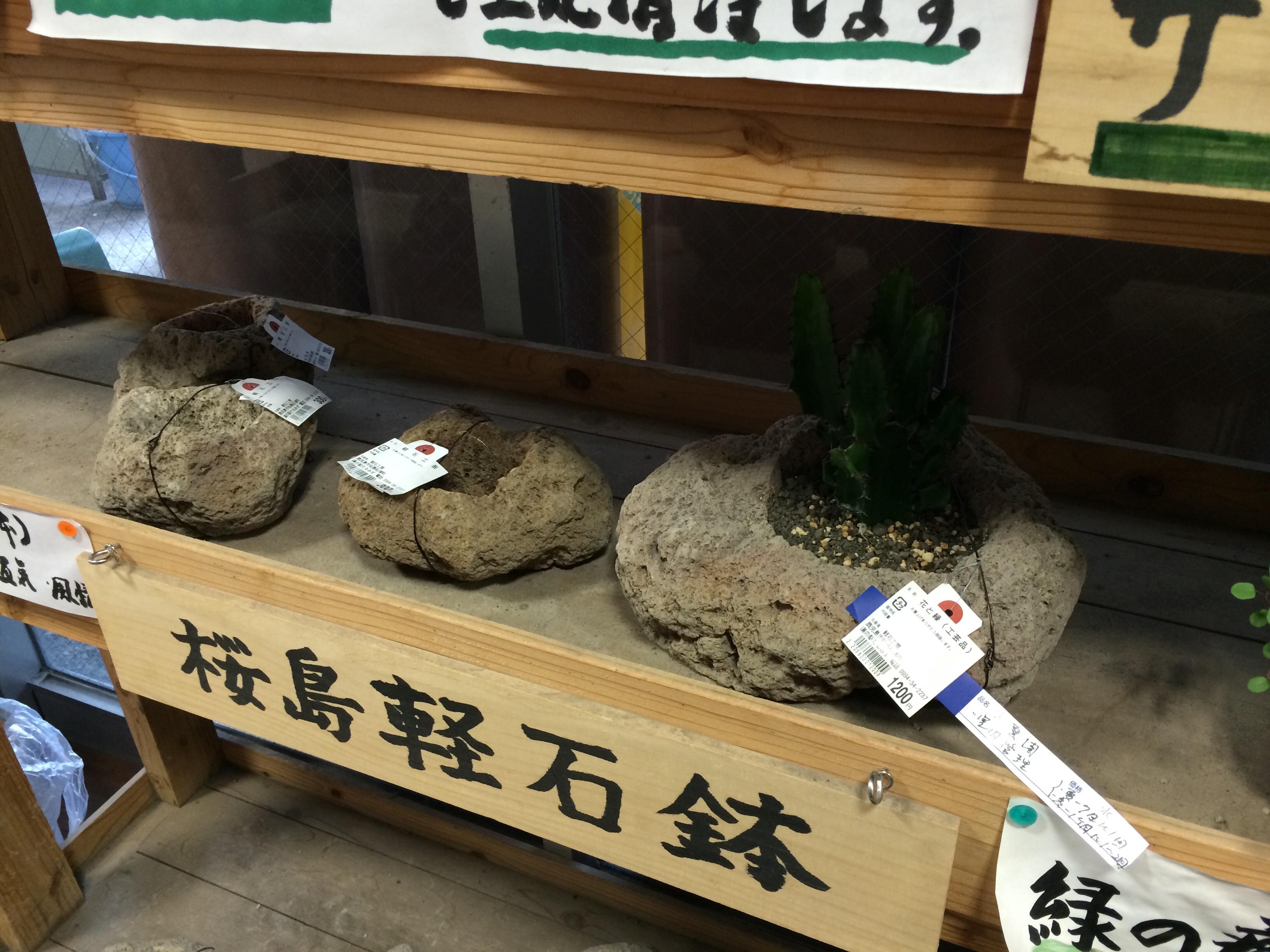 道の駅 たるみず