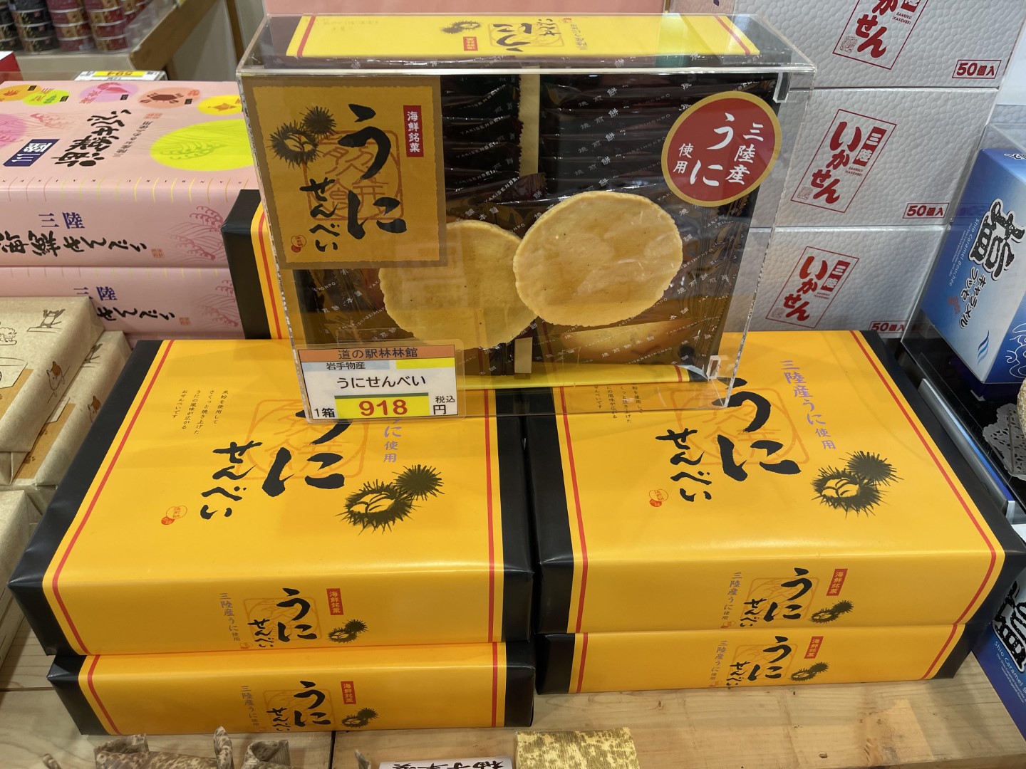 道の駅 林林館