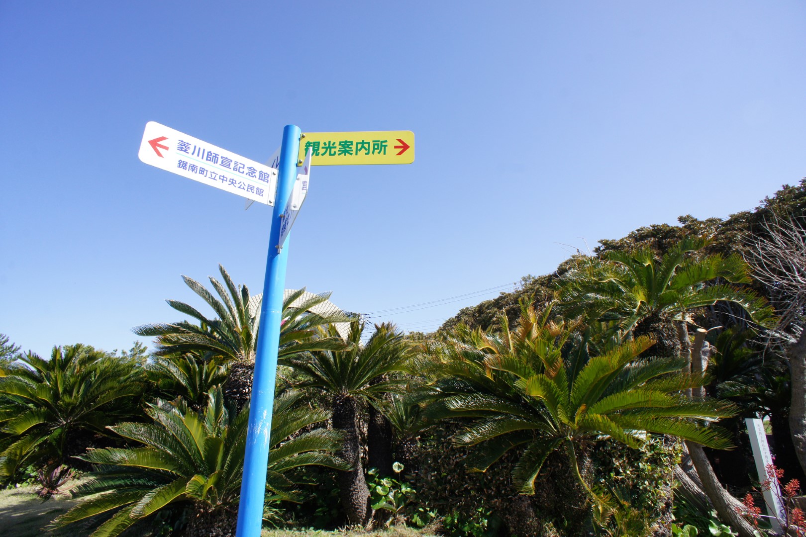 道の駅 きょなん
