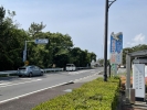 道の駅 紀宝町ウミガメ公園の写真